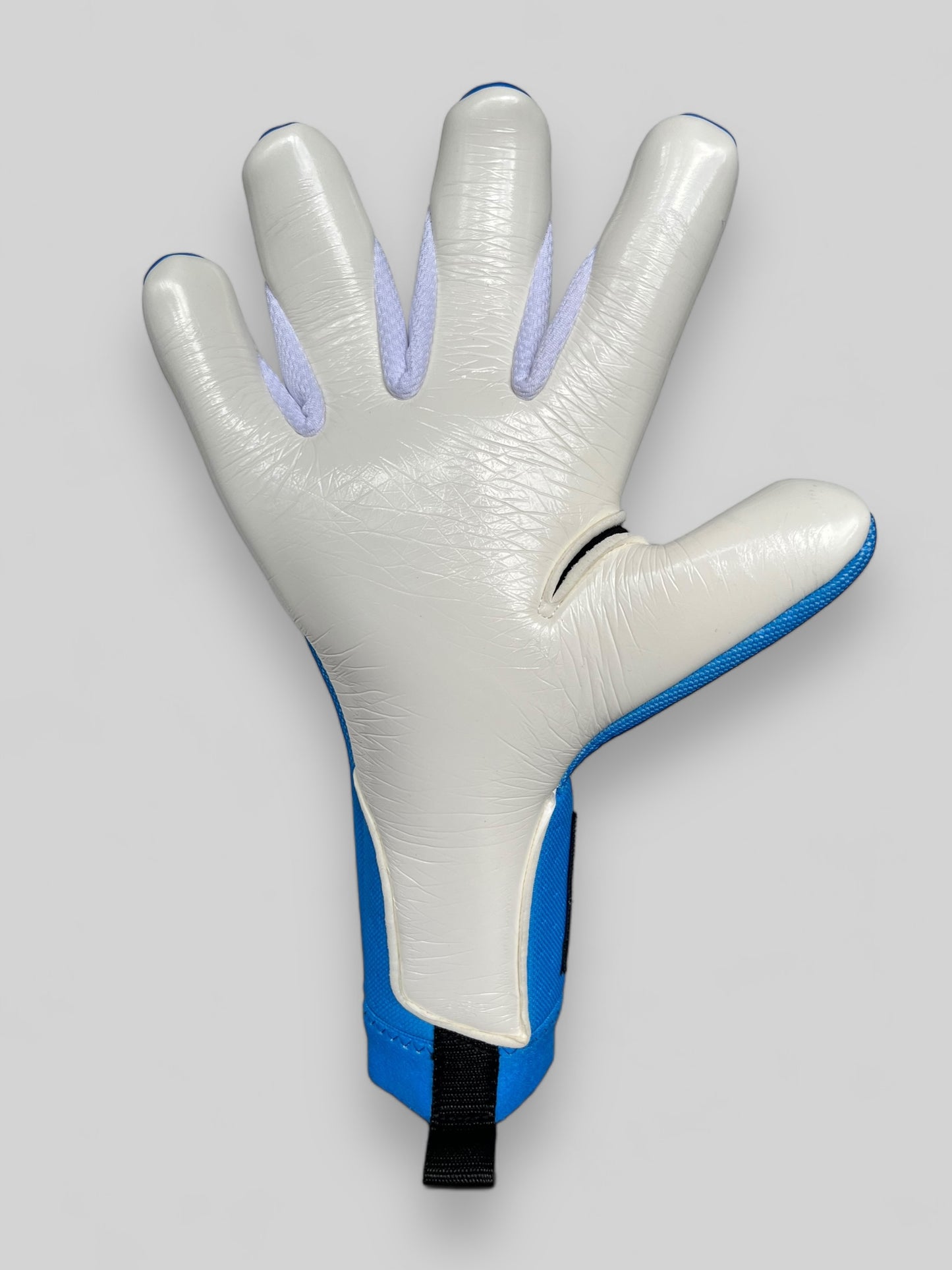 Chromatic Elite - Blue - Professional Goalkeeper Gloves 2
