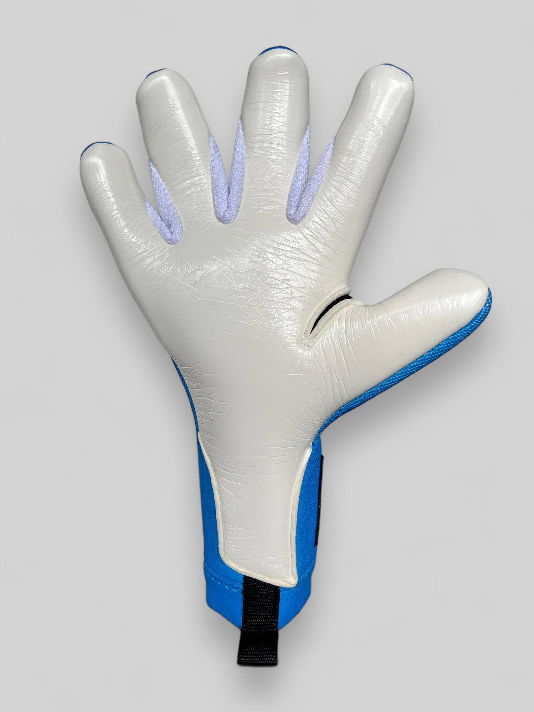 Chromatic Elite - Blue - Professional Goalkeeper Gloves 2
