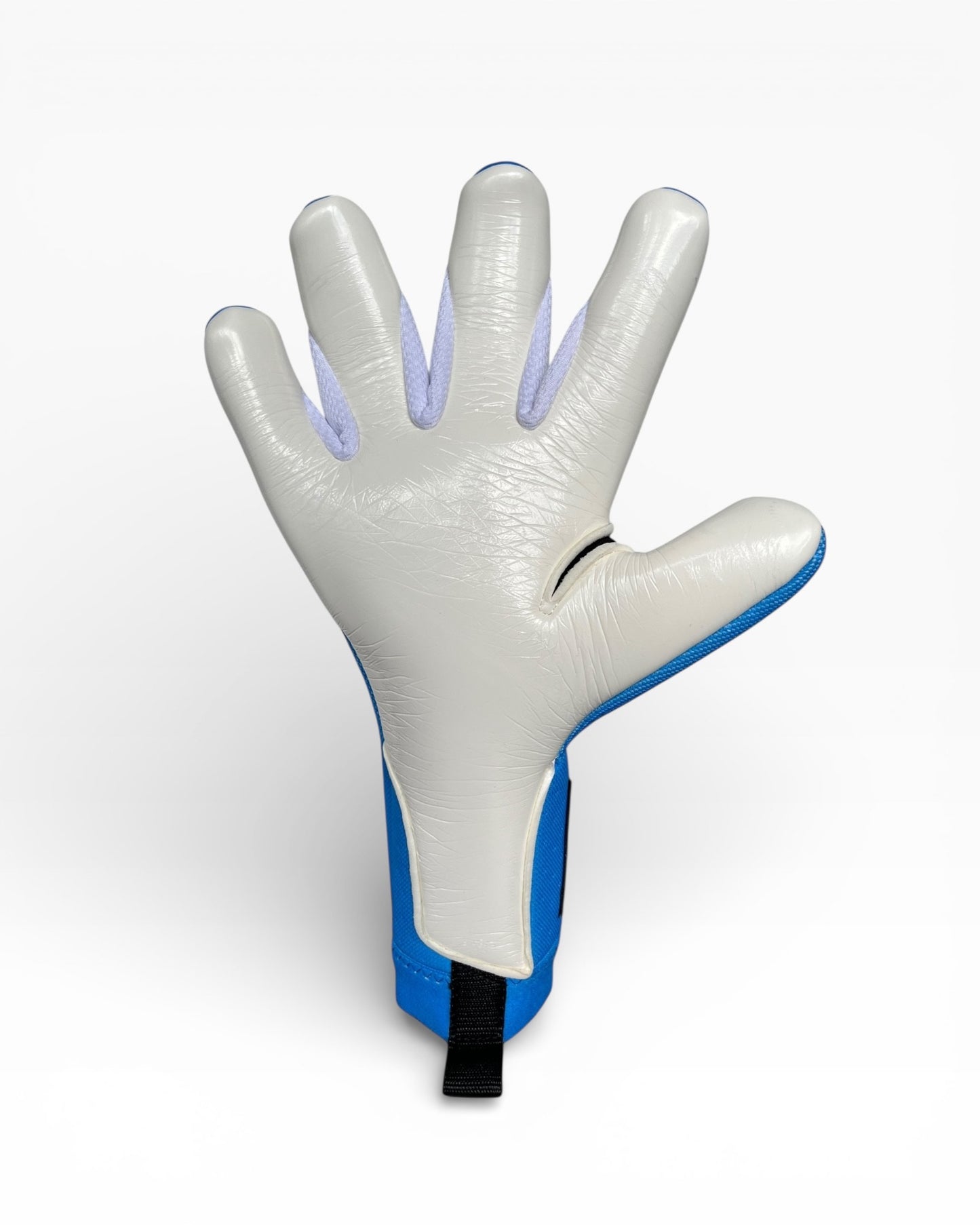 Chromatic Elite - Blue